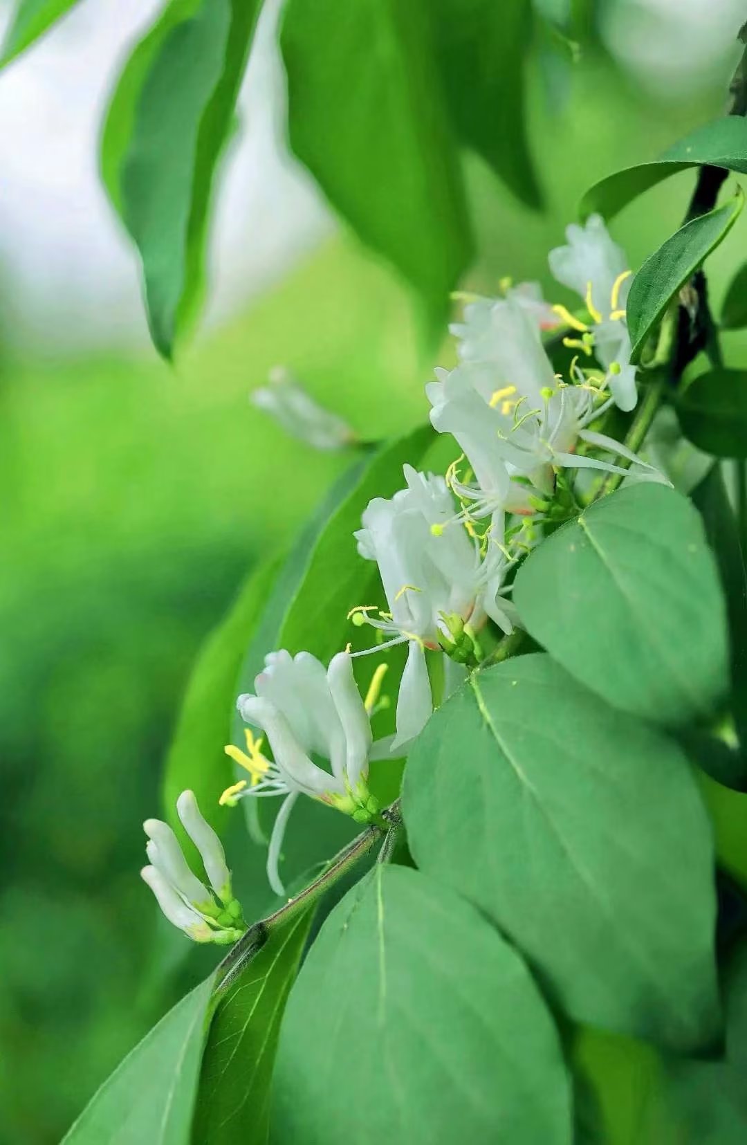 淇濇寔缇庡ソ蹇冩儏杩庢帴浜旀湀,浜旀湀瀵硅嚜宸辩殑缇庡ソ鏈熻