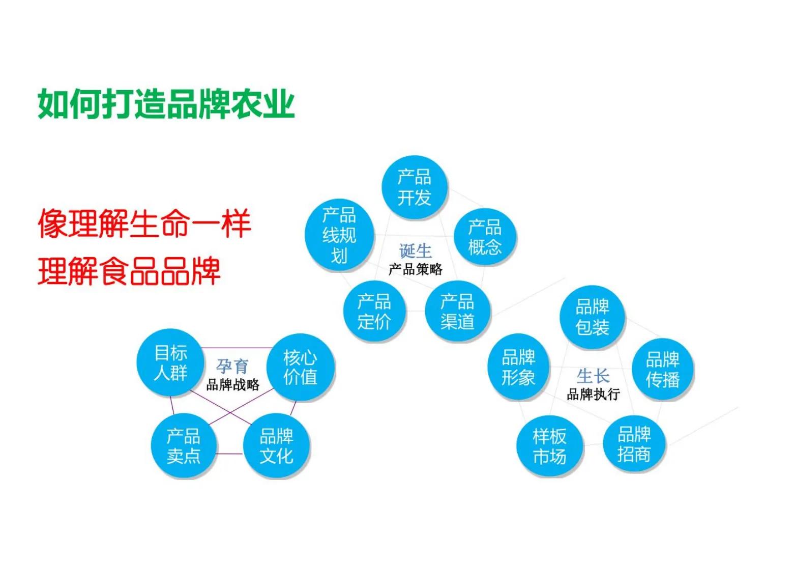 农业方面创业成功案例ppt,创新创业农业项目计划书ppt
