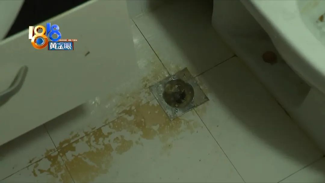 “雨虹”名字挺熟，这次77斤