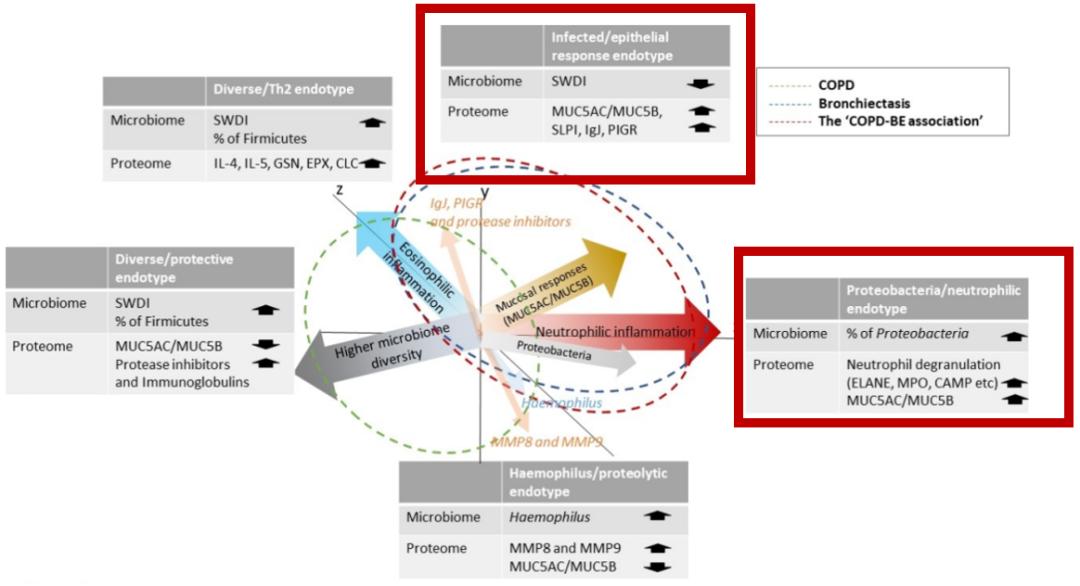 周敏教授：慢阻肺病、支扩及慢阻肺支扩重叠综合征气道微生物研究