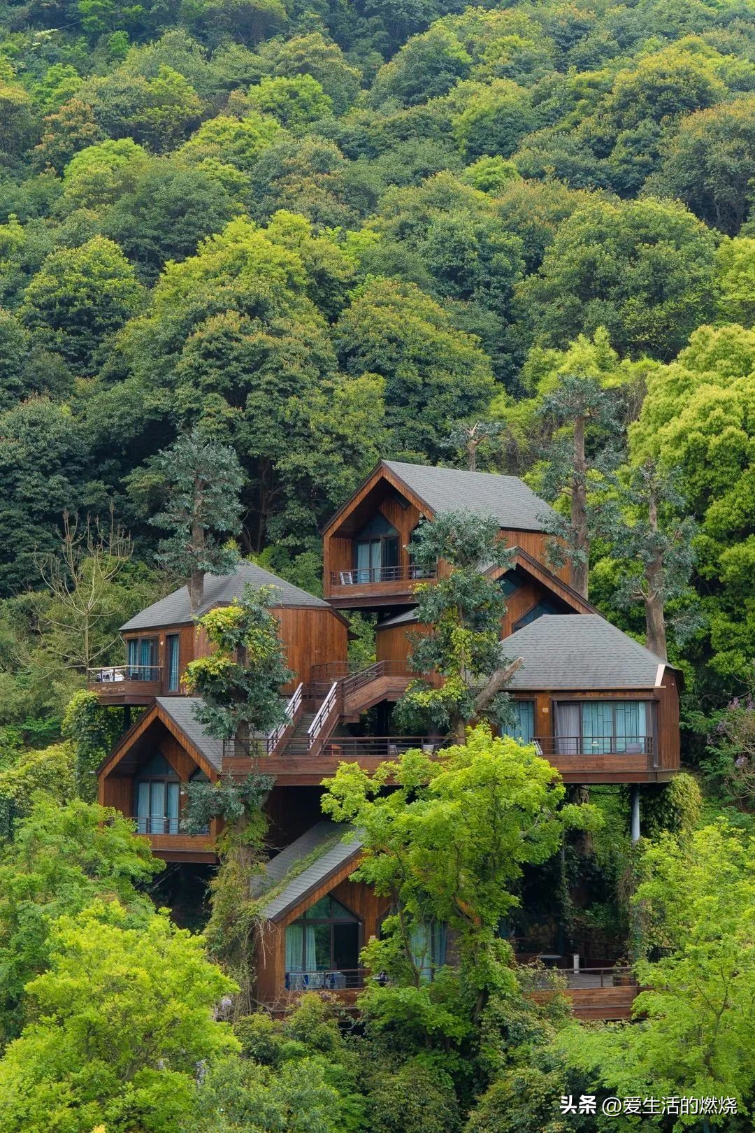 杭州森泊开元度假酒店不含门票,杭州开元森泊度假酒店存在的问题