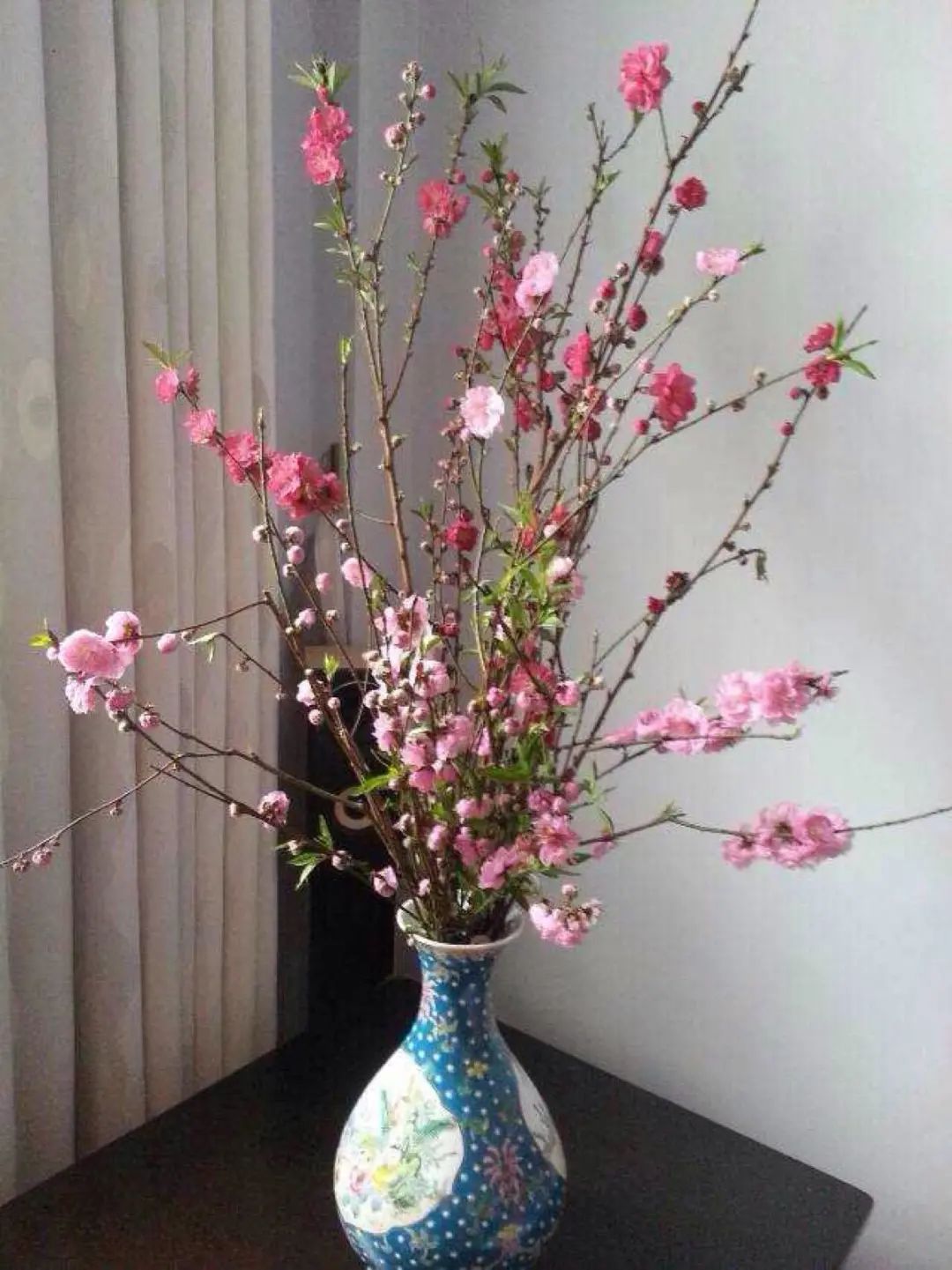 三月花事Vol.2|那些属于女神们的花