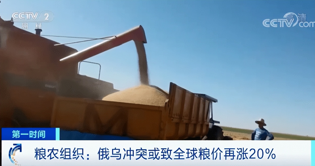 蛋荒谜题：台湾为什么会缺鸡蛋？