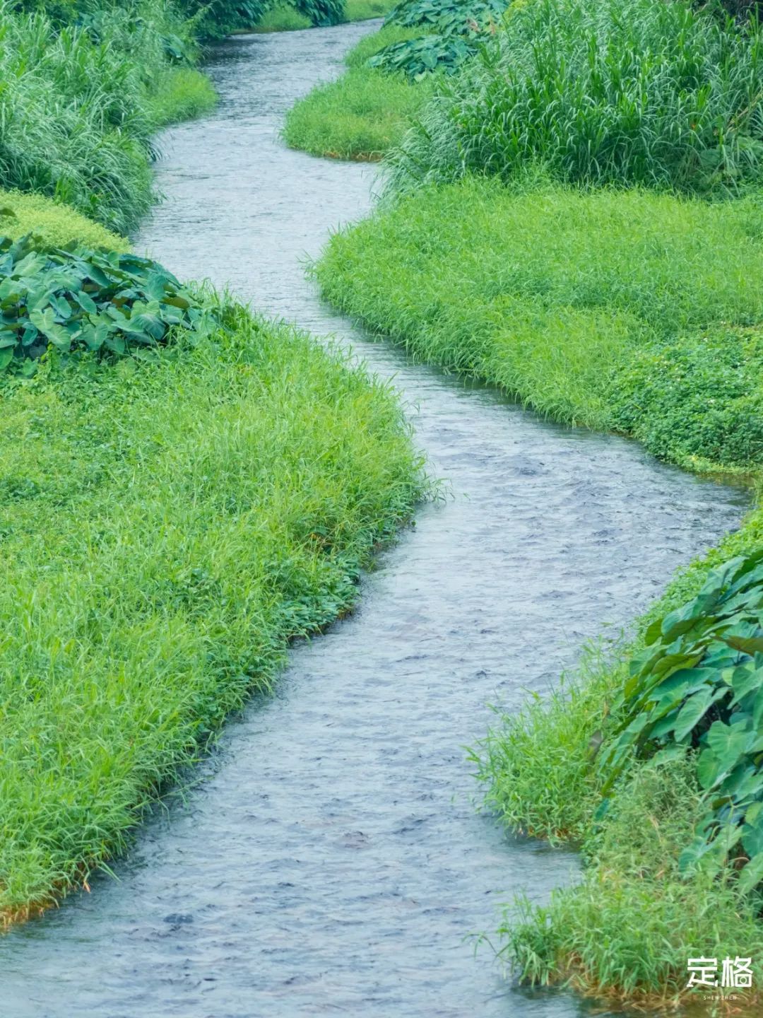 深圳10公里跑步路线,深圳跑步路线推荐塑胶跑道