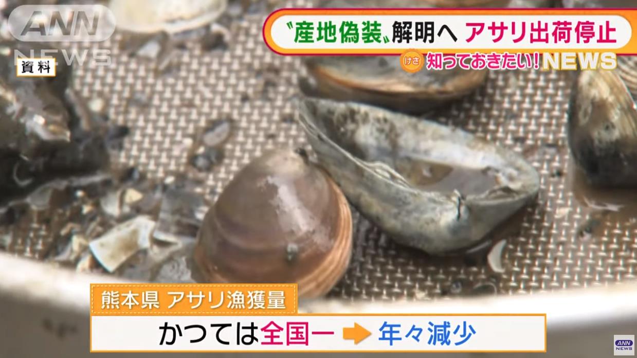 在日本捡蛤蜊,日本蛤蜊中国