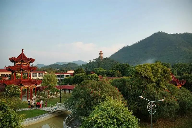 广东肇庆羚羊峡攻略,肇庆羚羊峡游记