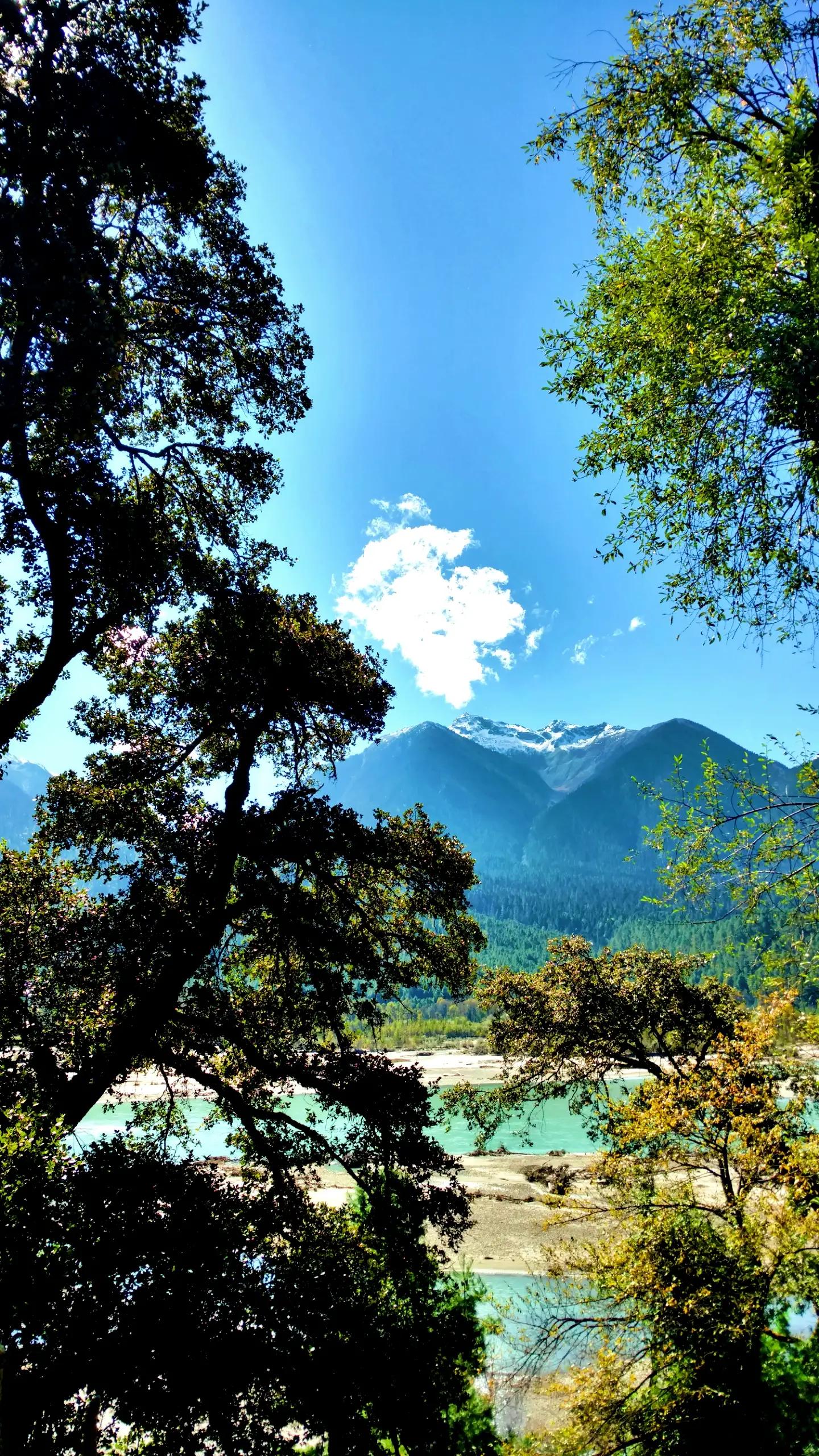 为什么欧洲的植被那么好,为什么欧洲的山都是草地