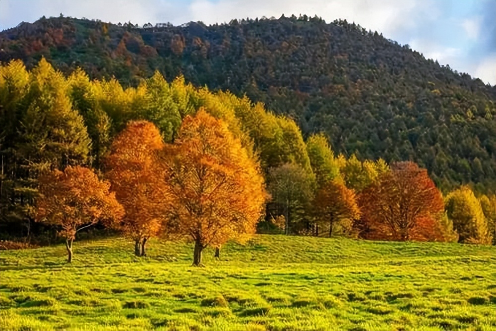 堪称神来之笔的十首诗词,100首绝妙的古诗词