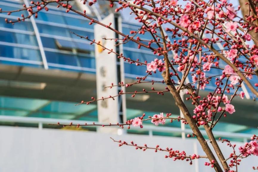 图书馆打卡1400次,打卡上海宝藏