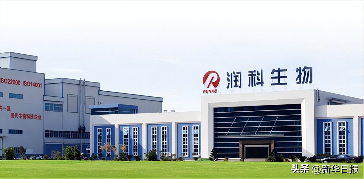 润科生物dha藻油怎么样,润科藻油DHA