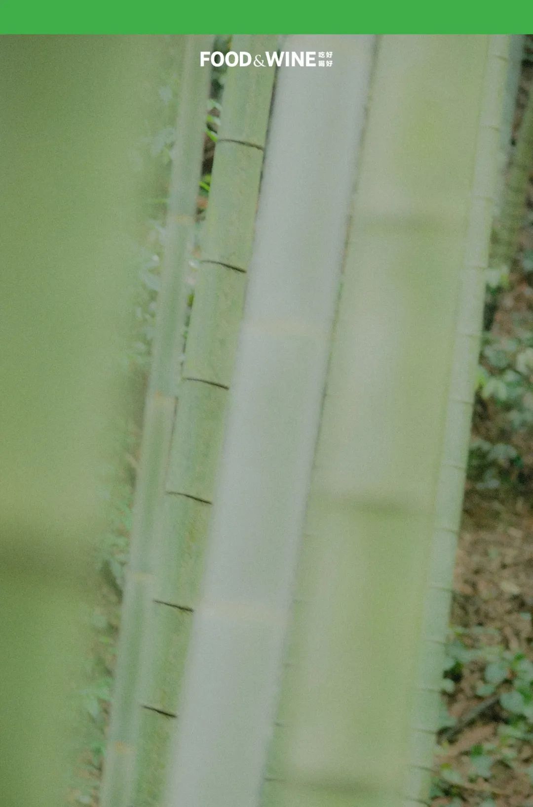 涓囧绂呭鏂嬮キ,鏅痉闀囧搴欏悆鏂嬮キ