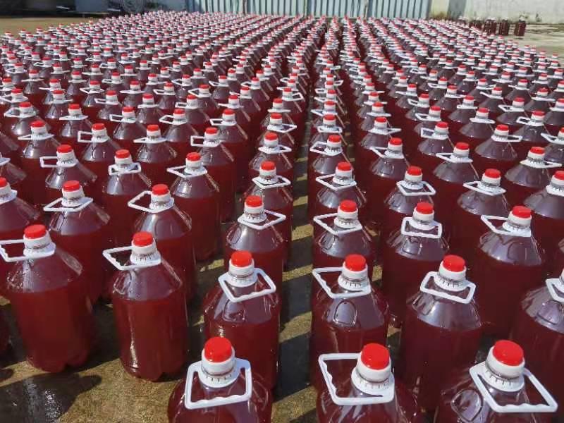 高起点建立新渔OD4.0！光合细菌会是一片新蓝海吗？