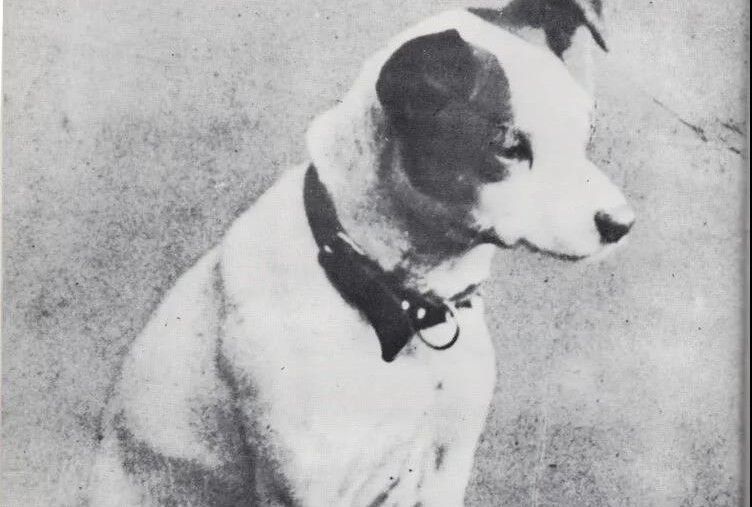 hmv英文歌,hmv香港