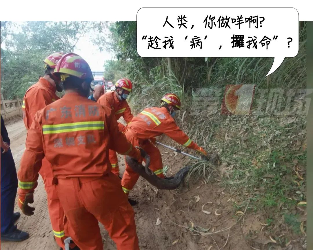 深圳乘车码健康码二合一,深圳公交车乘车码扫码演示