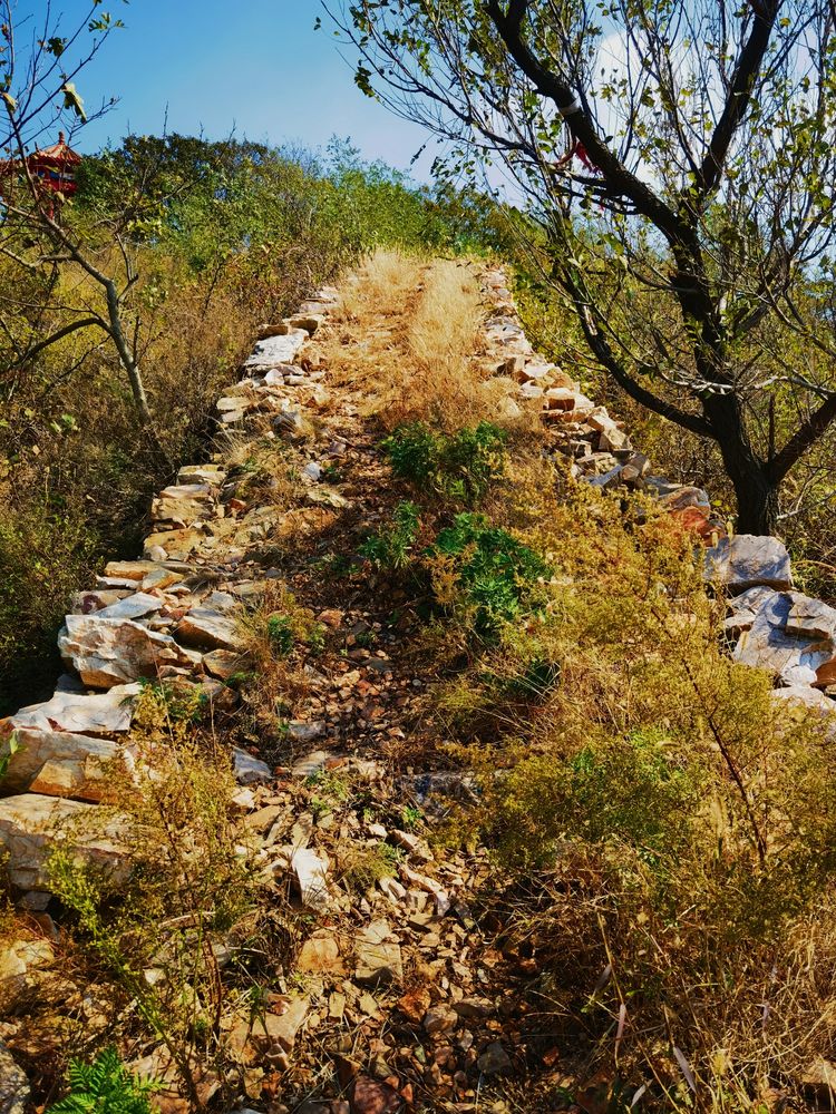 旅顺城山,旅顺城山怎么绕过去