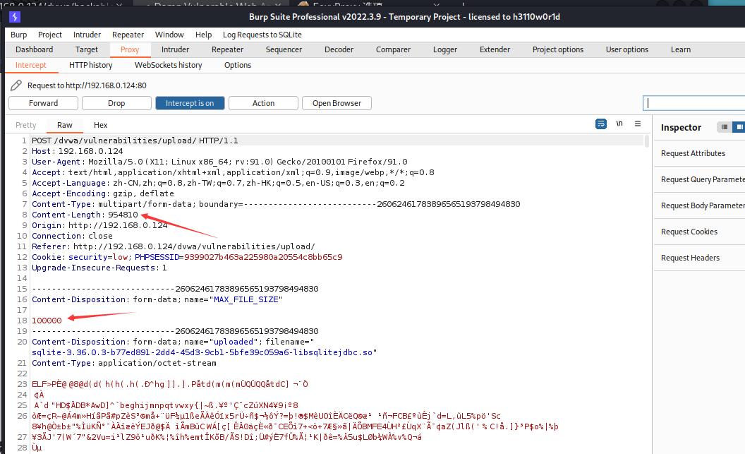 web渗透与漏洞挖掘pdf,web渗透漏洞挖掘项目报告
