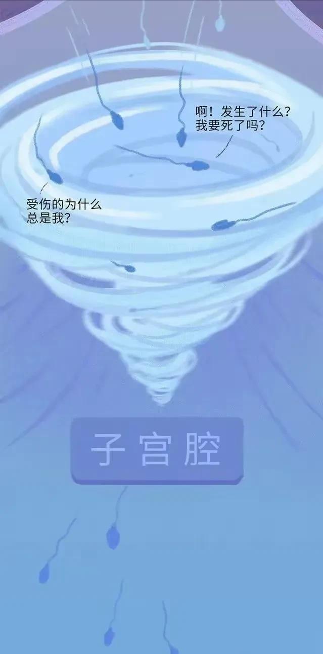 精子在人体24小时经历了什么,精子在人体24个小时都经历了什么