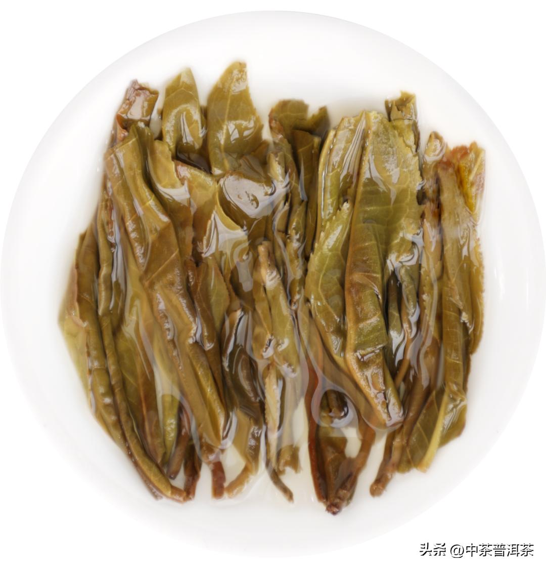 中茶名山茗,中茶茗山系列评测