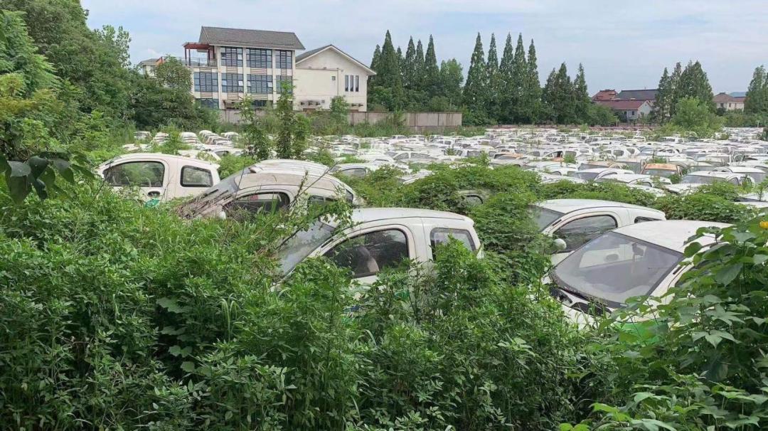 一万块能买什么新能源二手车,一万块能买什么新能源车