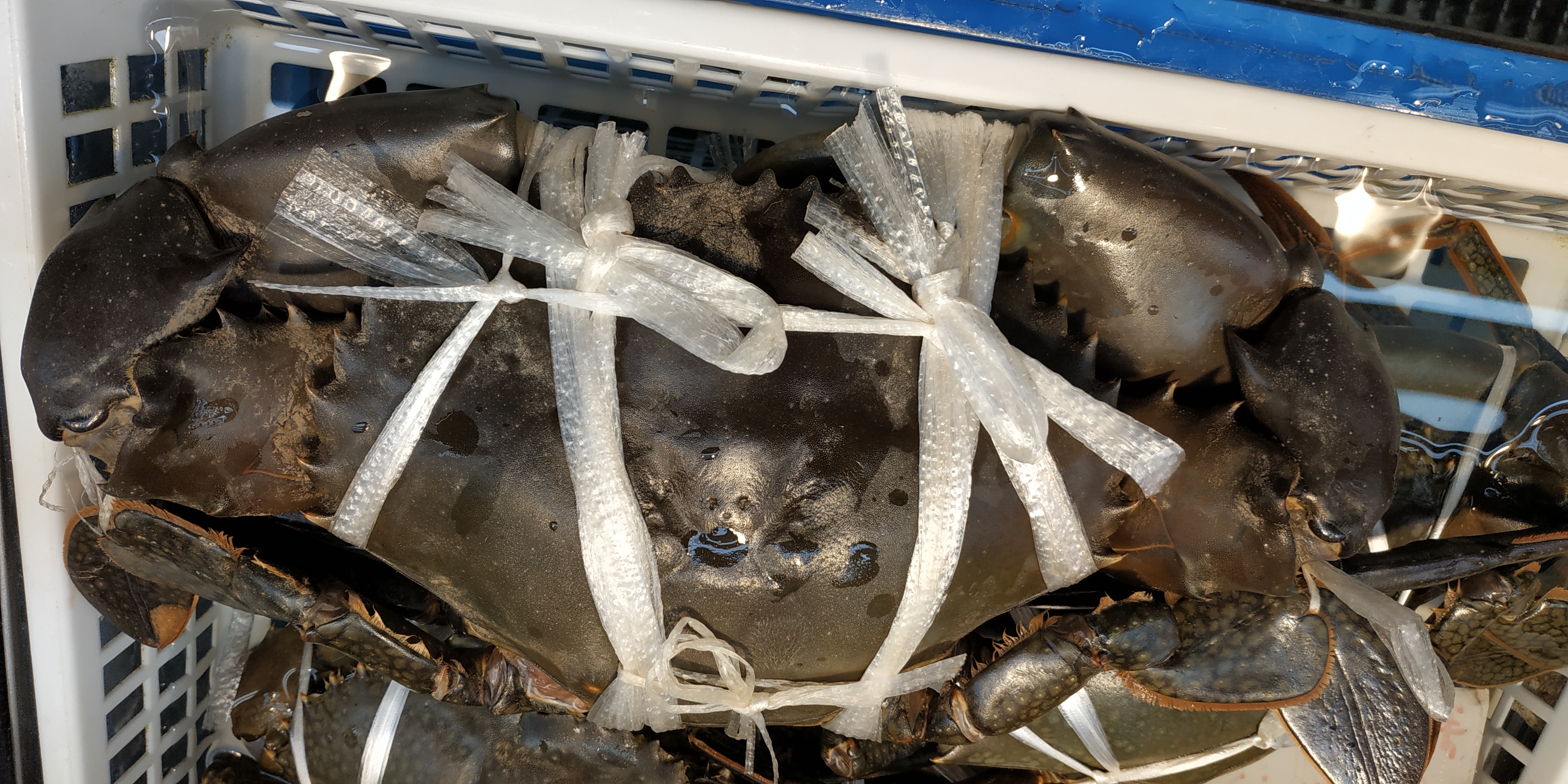 日本冲绳岛自驾游攻略,冲绳岛自驾游攻略