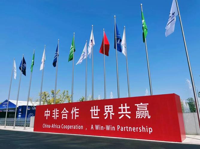 学者：中国与非洲的六大共同历史使命尚未完结