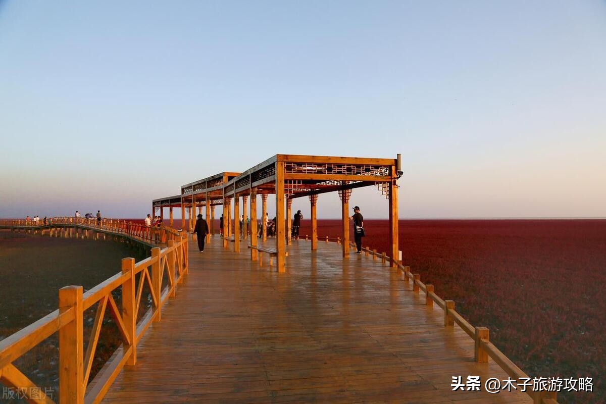 盘锦红海滩游玩攻略一日游,盘锦红海滩风景区游玩攻略