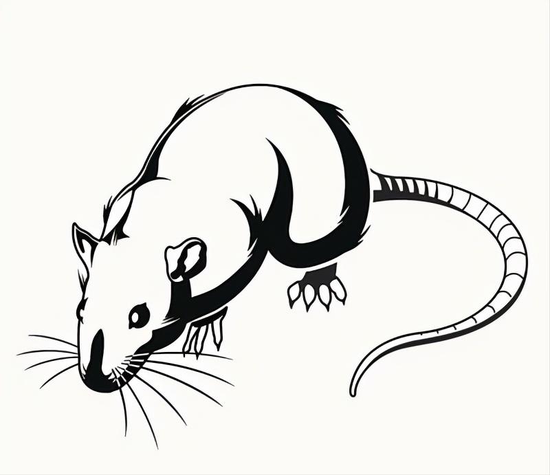 民间故事：光棍汉回家探亲，夜里被老鼠咬了耳朵，因此躲过一劫