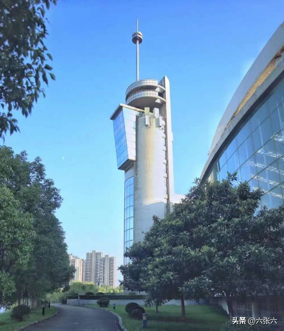 被杀猪盘诈骗50万,被杀猪盘诈骗80.4万