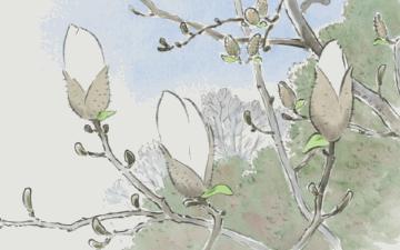 明心见性的禅意句子,明心见性的智慧诗句