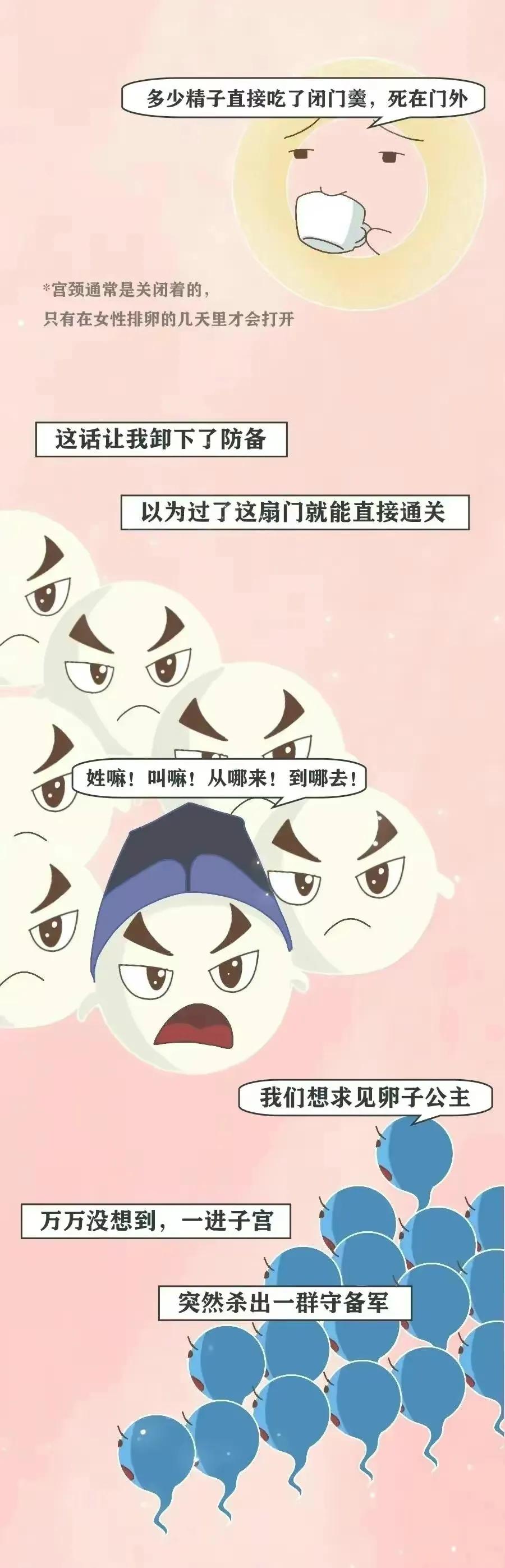 精子进入女生体内的全过程，真是一路坎坷又艰难