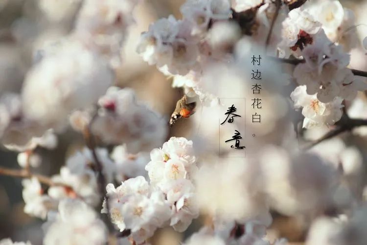 滦州古城都有哪些特色美景,滦州古城江南