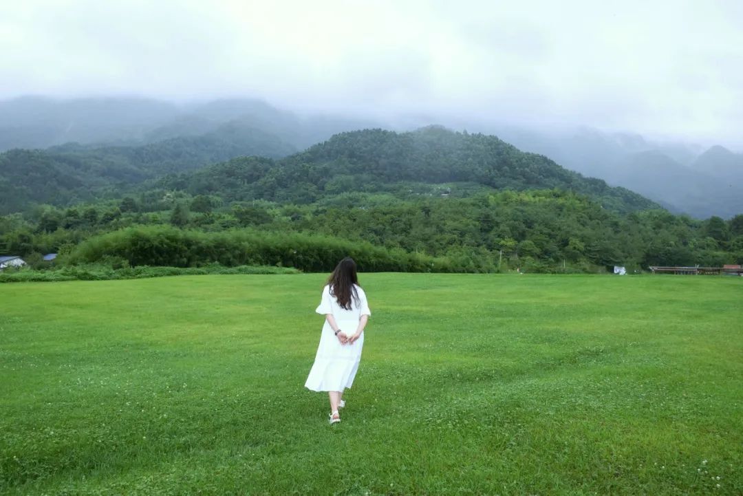 心存幻想的期待是所有痛苦的根源,期待是痛苦的根源下一句