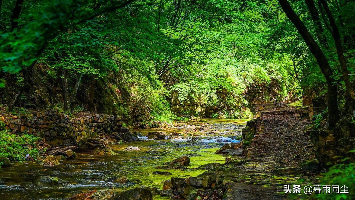 荒野过滤水的简单方法,在野外如何快速寻找水源