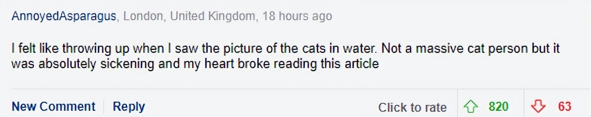 越南为什么没有苍蝇蚊子,越南为什么没有大熊猫