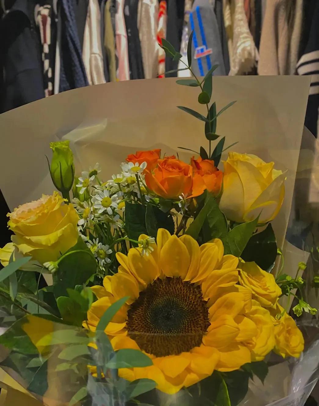 背景图优雅生活,生活随意的背景图高级感