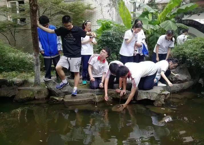 17岁少年跳湖遗书,15岁神童自尽遗书