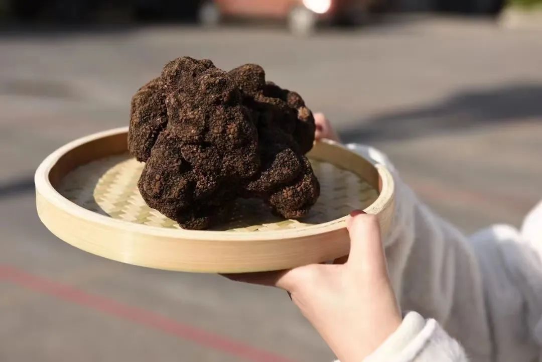 浼氫笢鍐ぉ,浼氫笢鍐姘旀俯