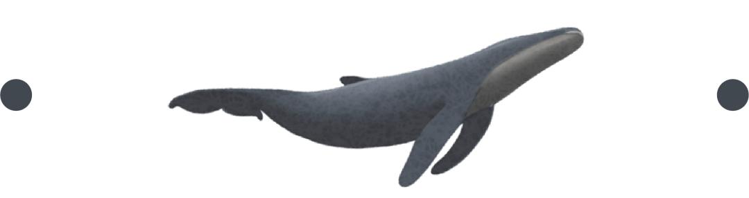 伤心银行人的13次公考