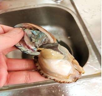 月子吃鲍鱼的最佳时间,产妇月子里什么时间可以吃鲍鱼