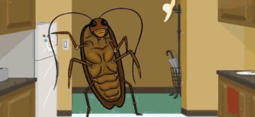 蟑螂怎么消灭最彻底最好的方法,蟑螂怎么正确消灭最彻底最有效