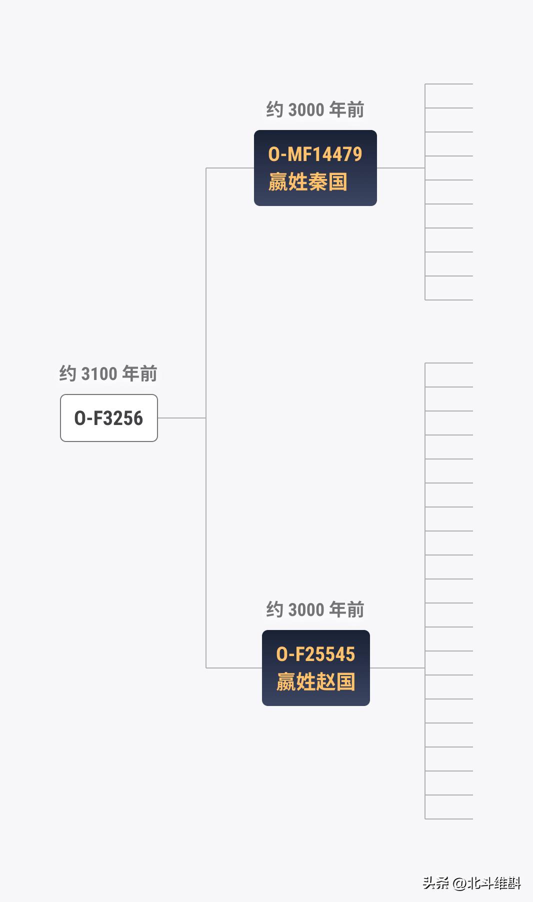 中国dna确定100万年古人类,从dna角度看人类