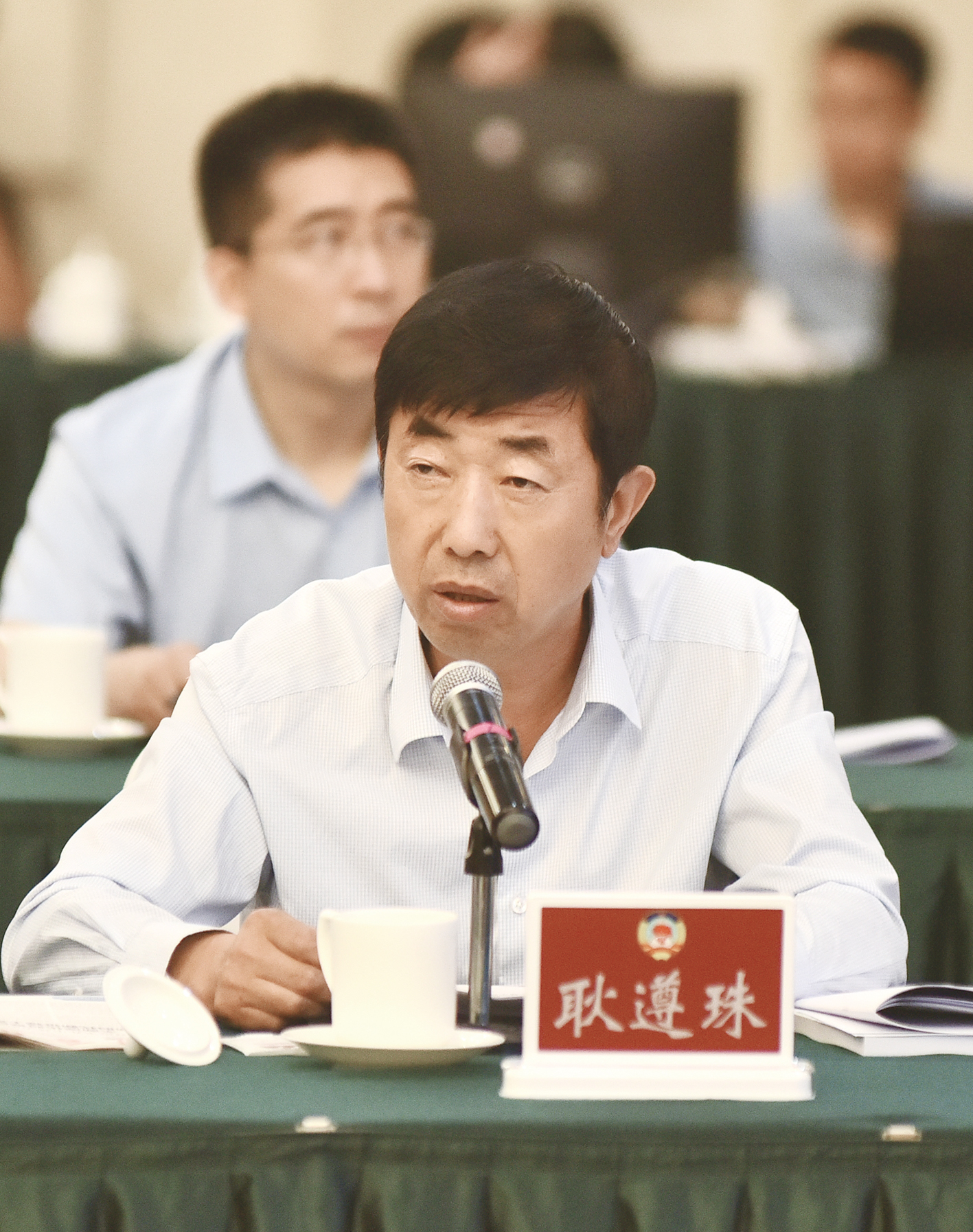 农墨重彩绘新景,农墨重彩绘丰景