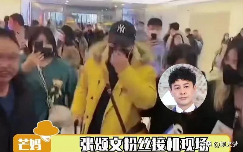 明星收入张颂文,蔡徐坤vs梅西