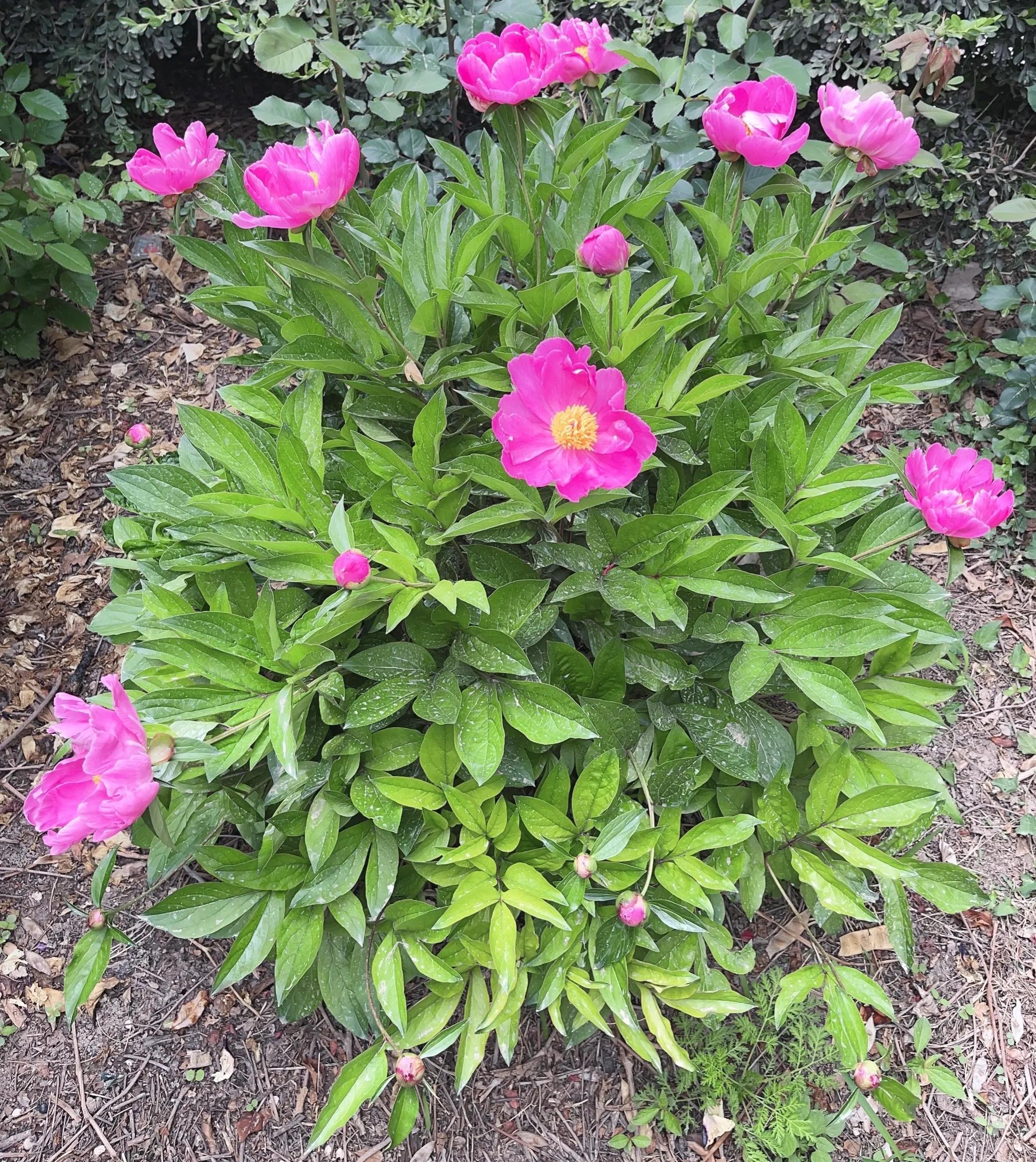 繁星璀璨银河系星星眨眼不言语天上故事比星多日升月落都放空元姆