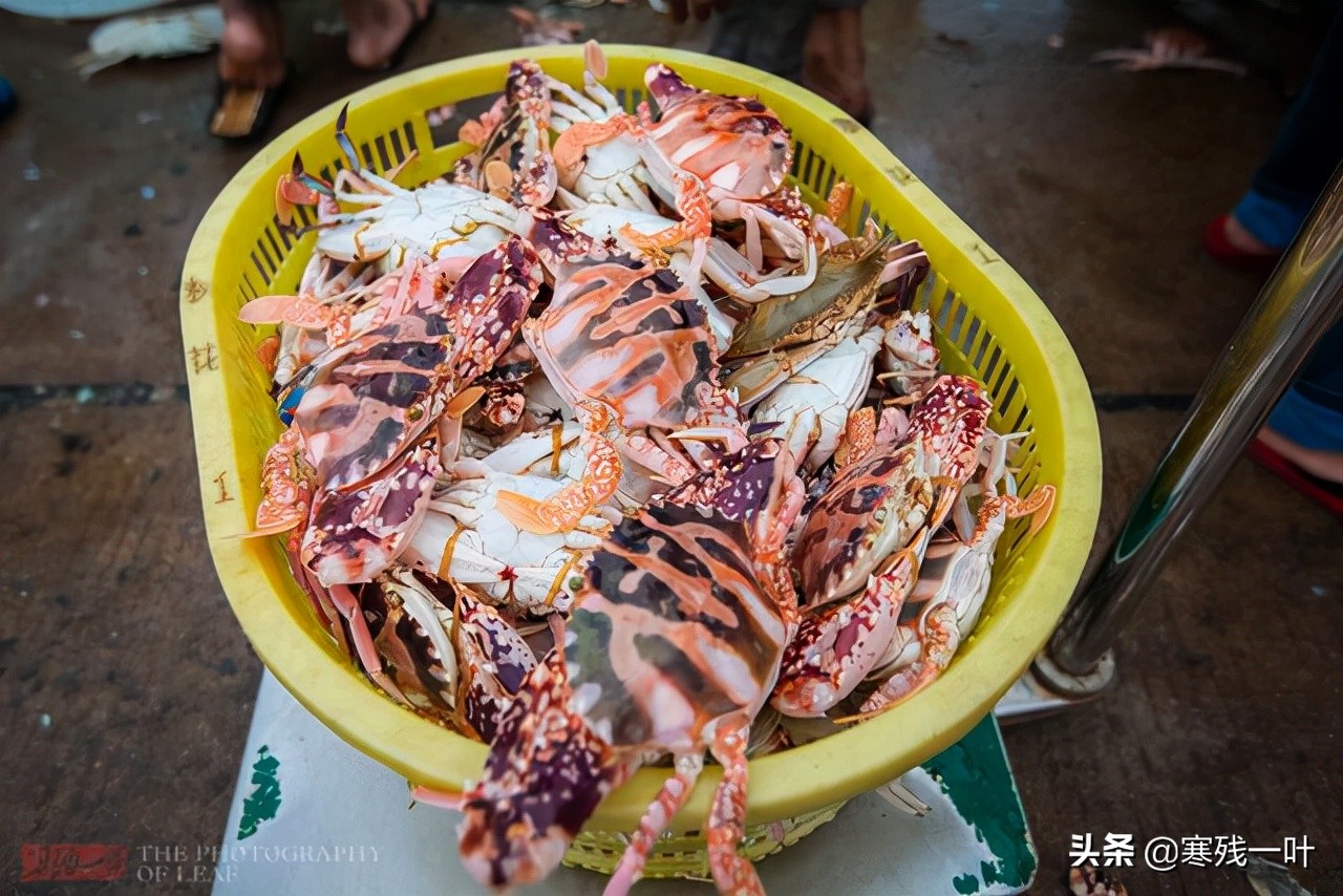 海南文昌环球码头海鲜,海南文昌渔村码头