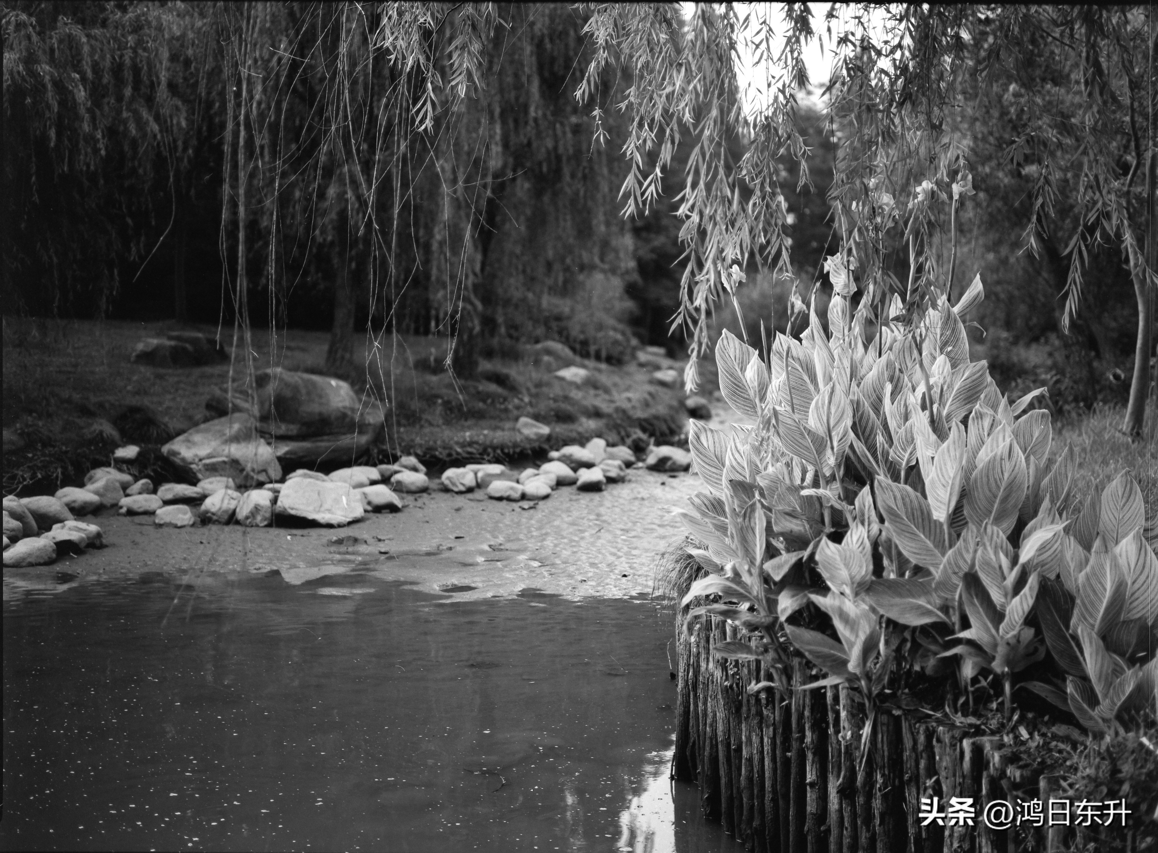 宾得645Nii老胶片相机值得拥有