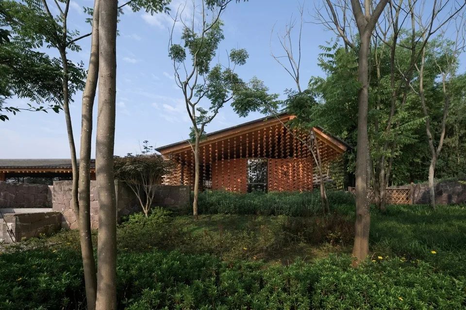 乡村振兴谋划不全不细典型案例,国内外乡村振兴典型代表及案例