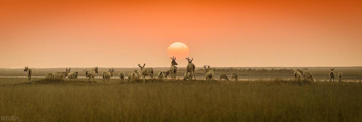 江苏唯一有山的城市,中国海拔最高的风景区