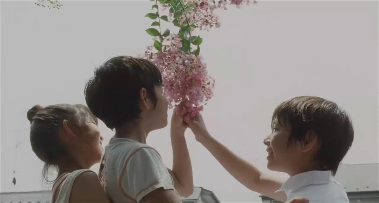 电影饮食男女做菜片段,电影饮食男女深度解析