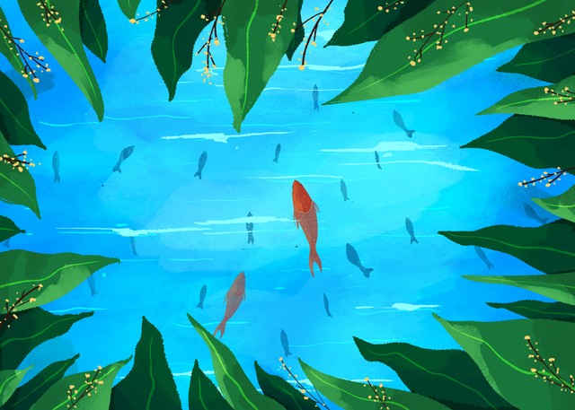 小暑节气农谚俗语,小暑节气知识